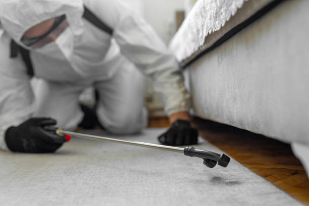 Professional Bed Bug Control technician working in Grant Park, IL